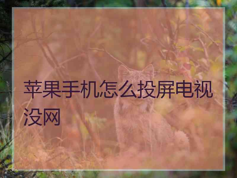 苹果手机怎么投屏电视没网