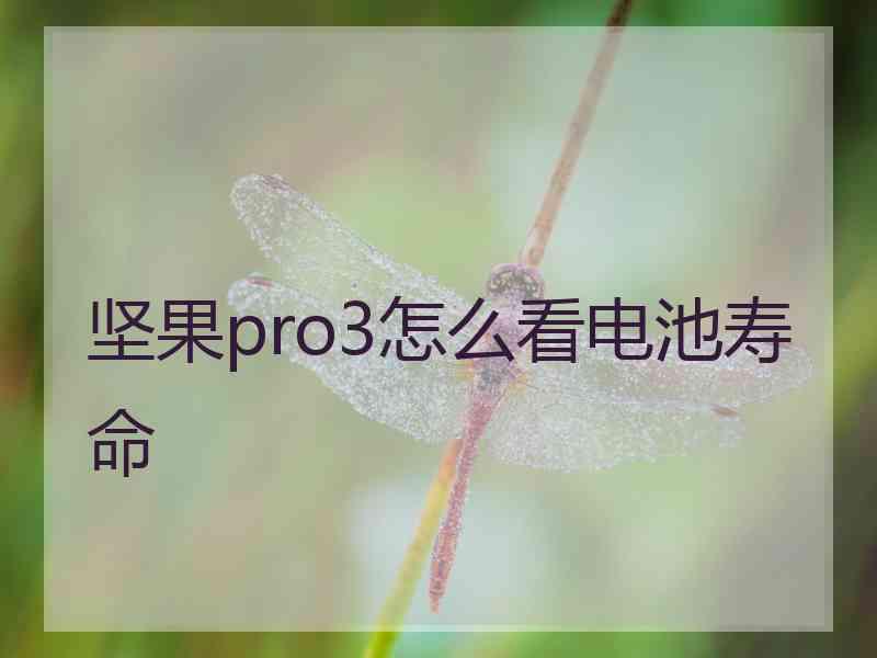 坚果pro3怎么看电池寿命