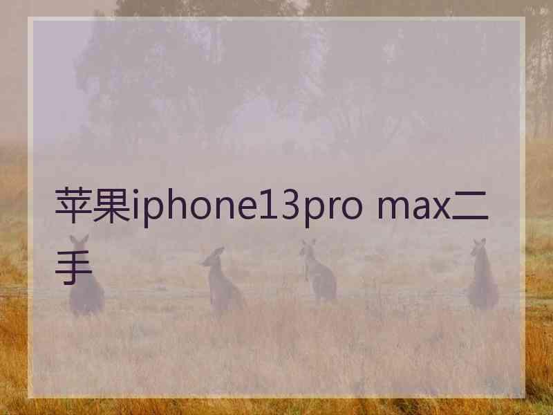 苹果iphone13pro max二手