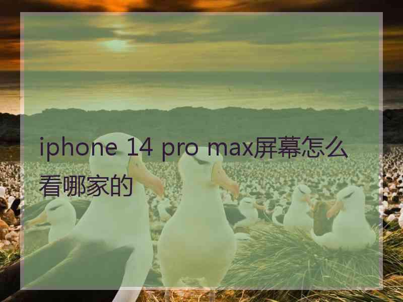 iphone 14 pro max屏幕怎么看哪家的