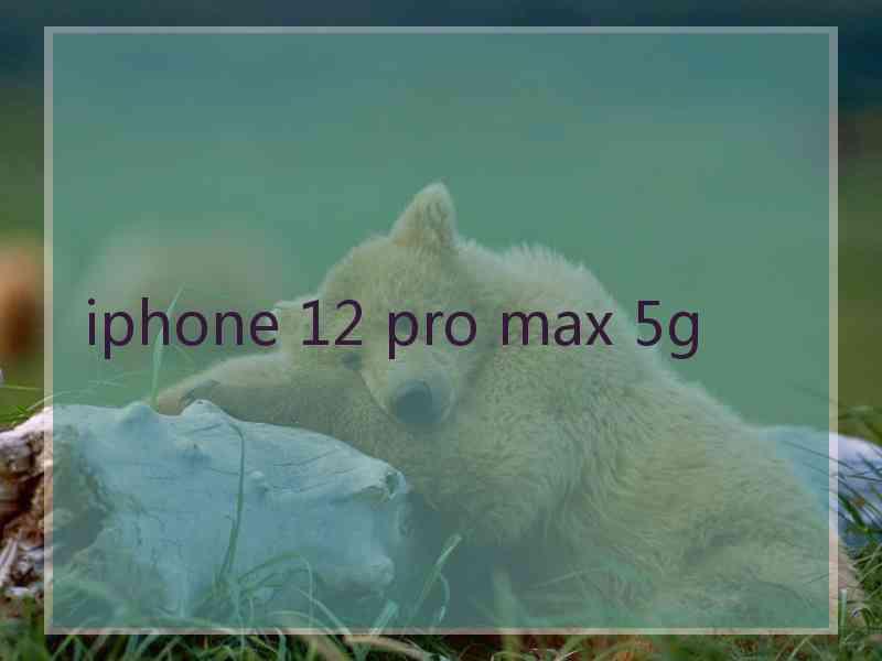 iphone 12 pro max 5g