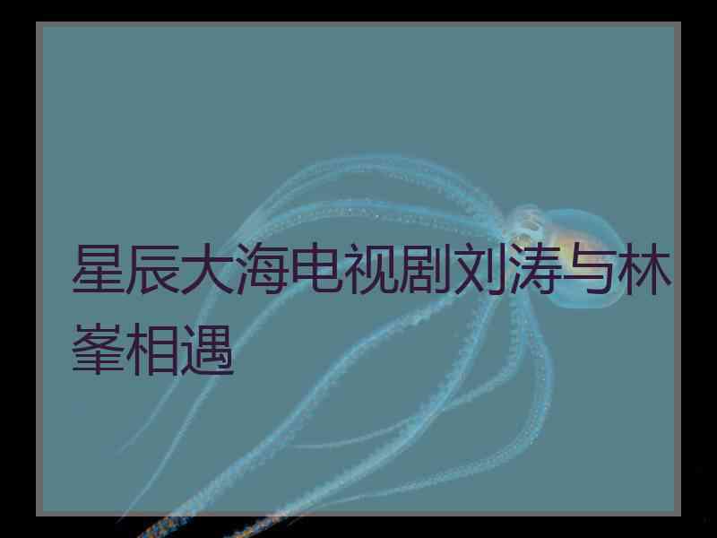 星辰大海电视剧刘涛与林峯相遇