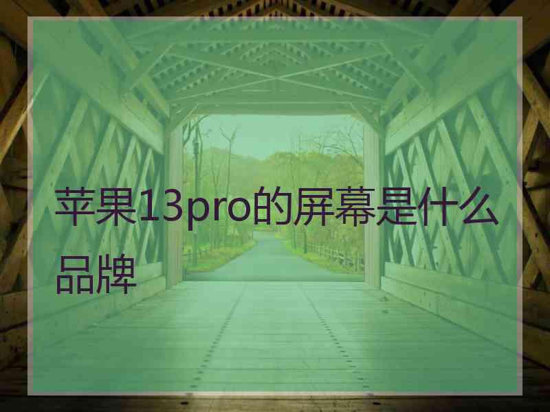 苹果13pro的屏幕是什么品牌