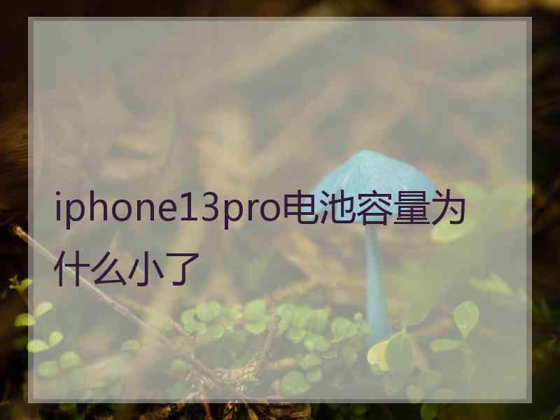 iphone13pro电池容量为什么小了