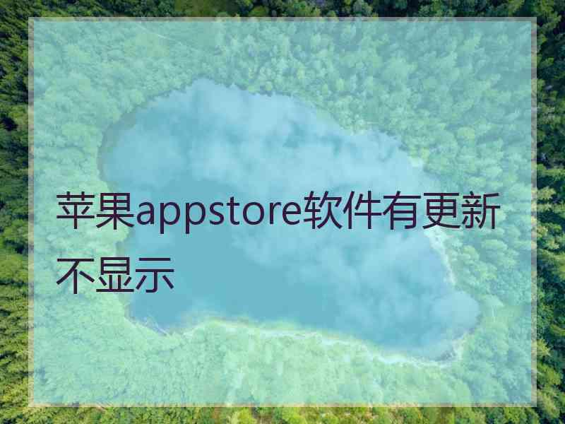 苹果appstore软件有更新不显示