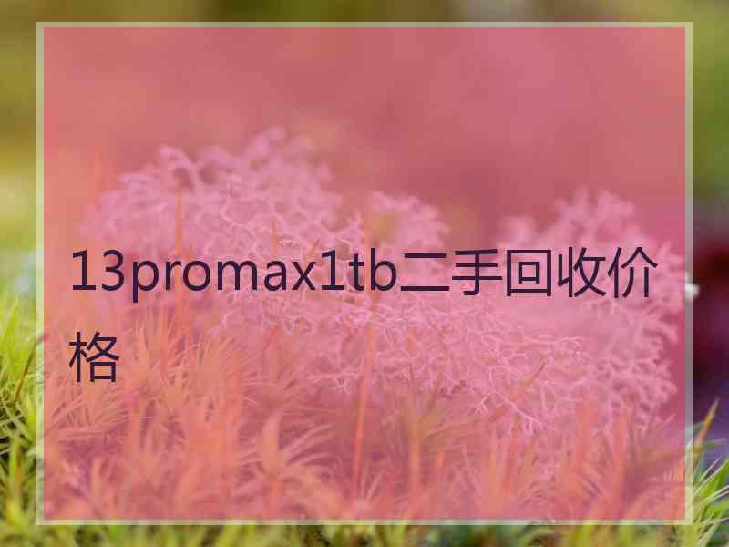 13promax1tb二手回收价格