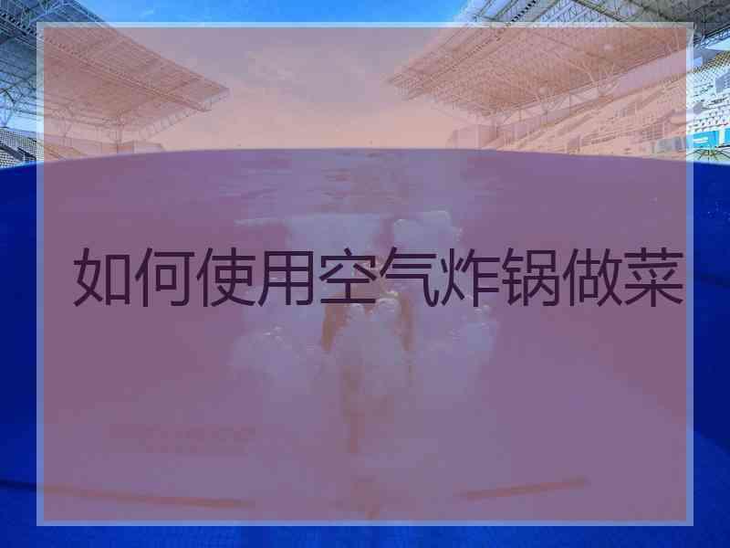 如何使用空气炸锅做菜