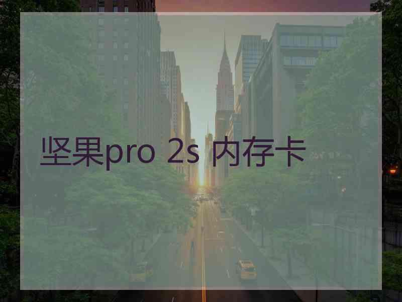 坚果pro 2s 内存卡