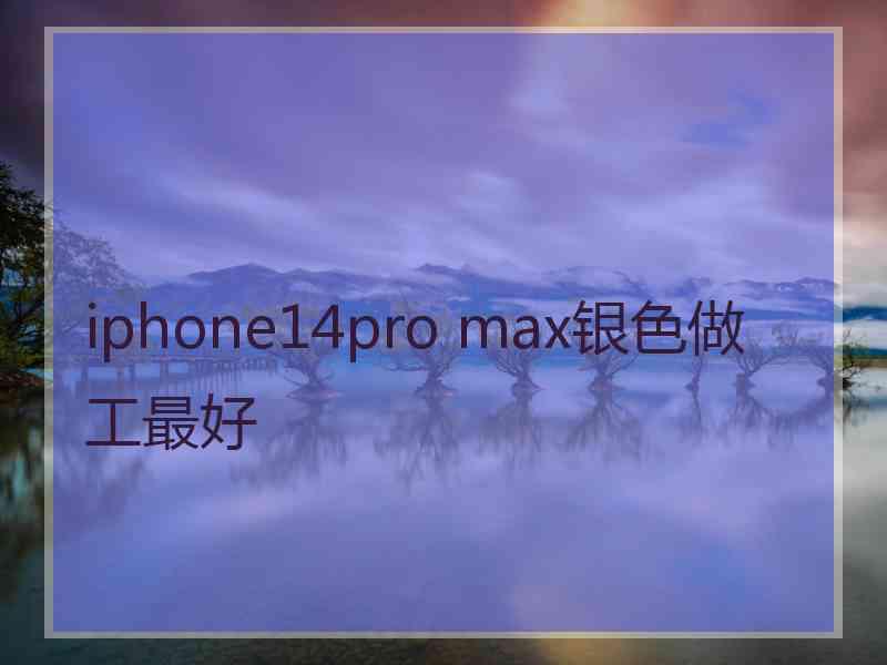 iphone14pro max银色做工最好