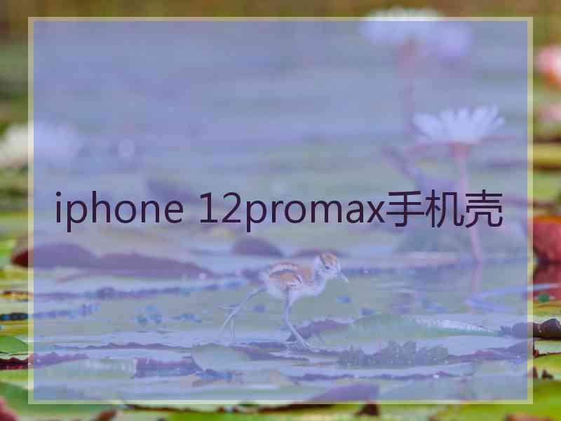 iphone 12promax手机壳