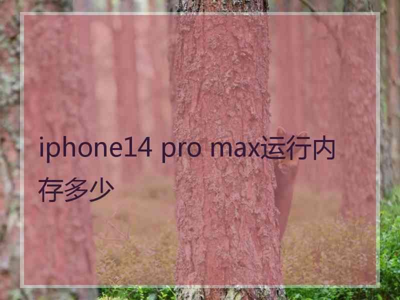 iphone14 pro max运行内存多少