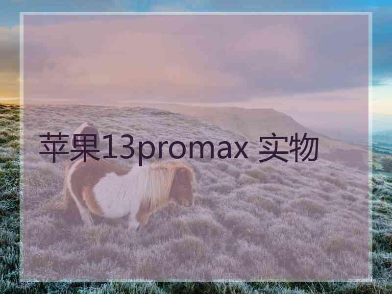 苹果13promax 实物