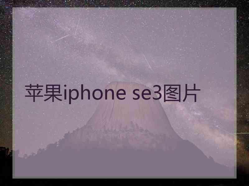 苹果iphone se3图片