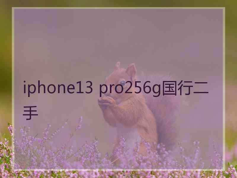 iphone13 pro256g国行二手