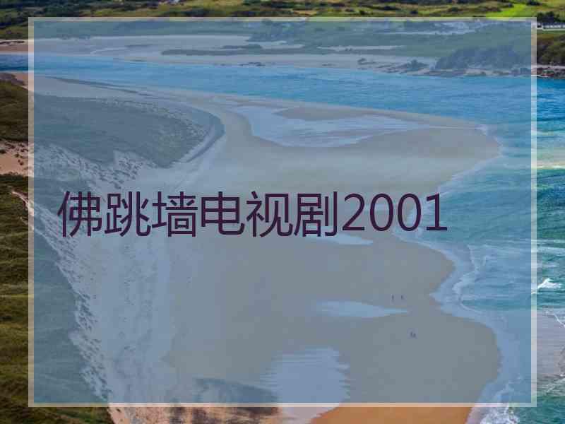 佛跳墙电视剧2001