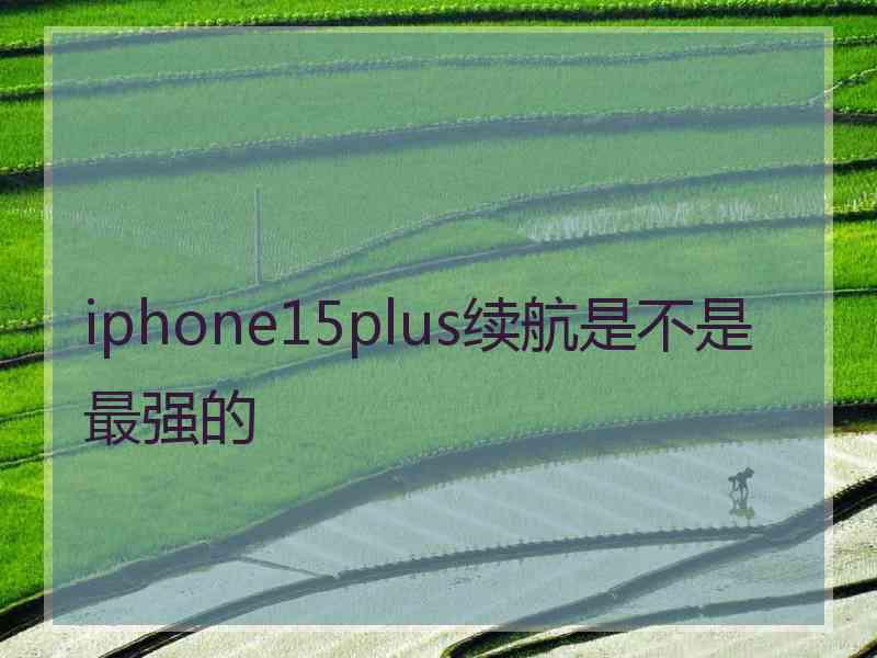 iphone15plus续航是不是最强的