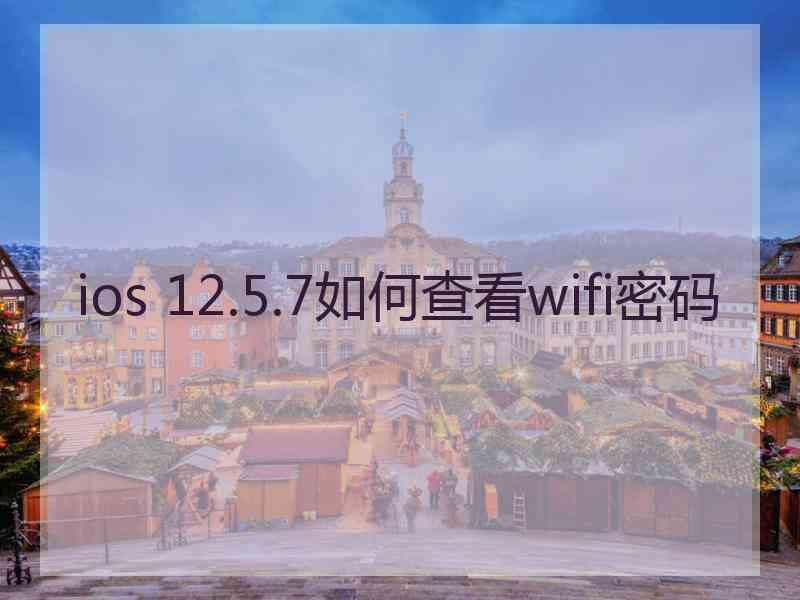 ios 12.5.7如何查看wifi密码