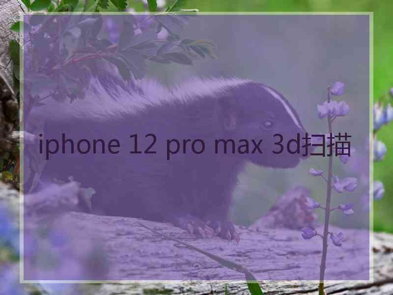 iphone 12 pro max 3d扫描