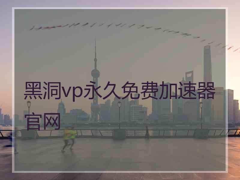 黑洞vp永久免费加速器官网