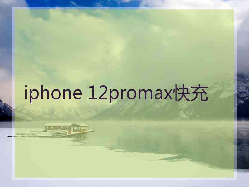 iphone 12promax快充