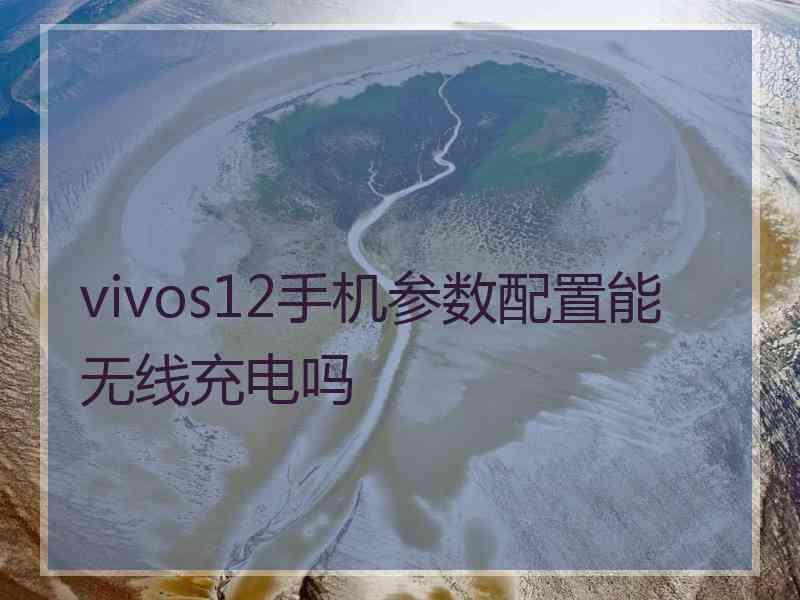 vivos12手机参数配置能无线充电吗