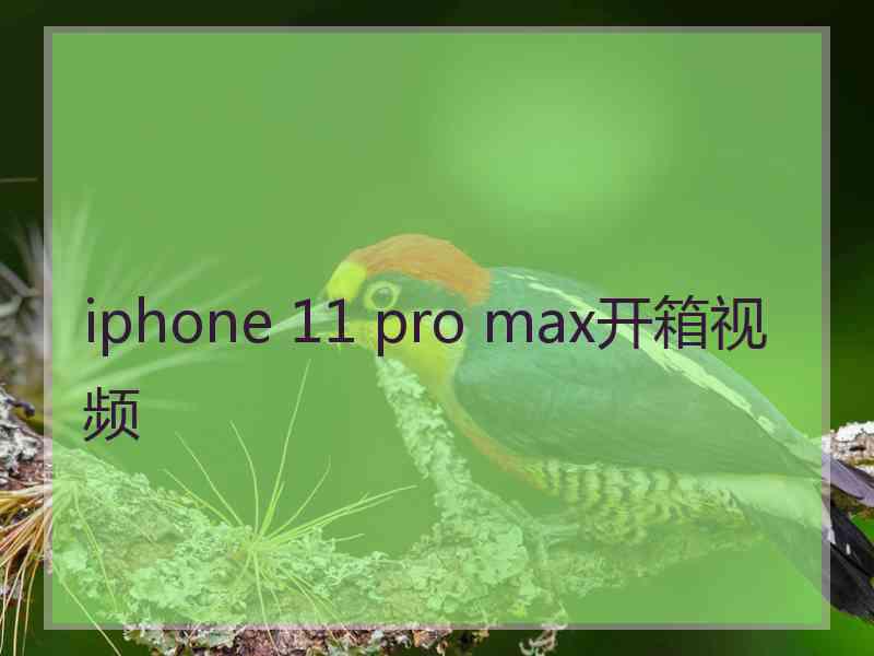 iphone 11 pro max开箱视频