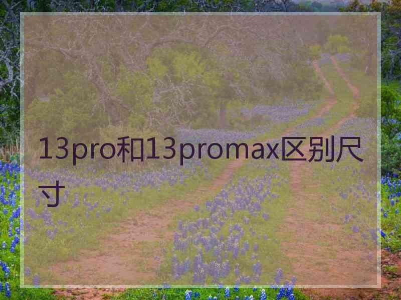 13pro和13promax区别尺寸