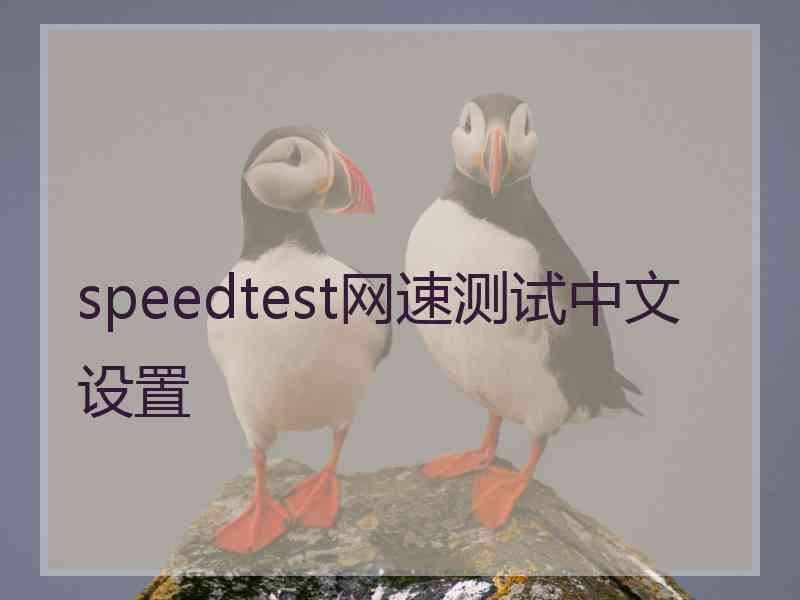 speedtest网速测试中文设置