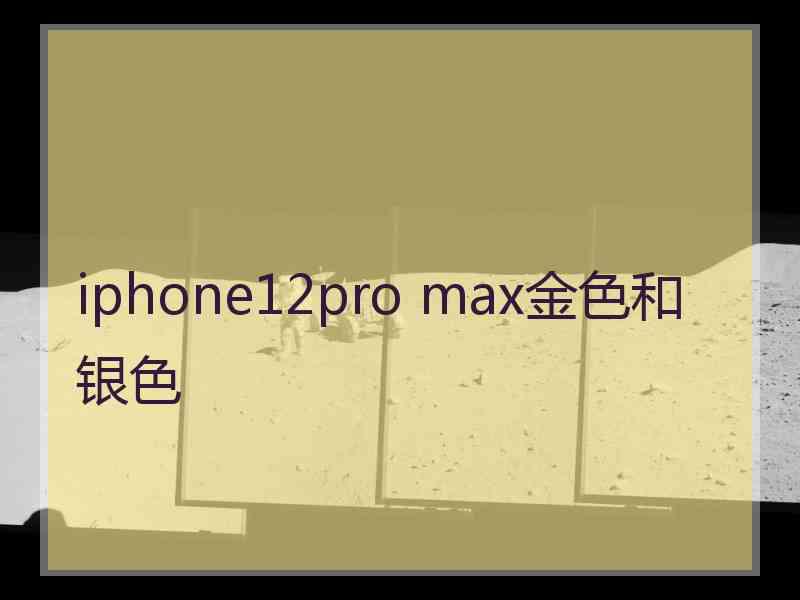 iphone12pro max金色和银色