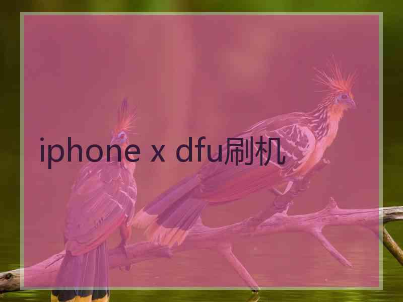 iphone x dfu刷机