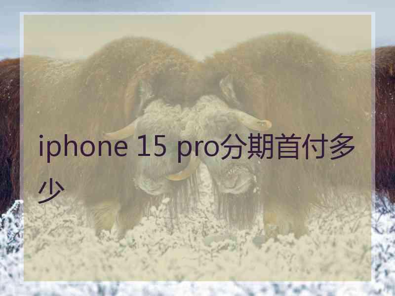 iphone 15 pro分期首付多少