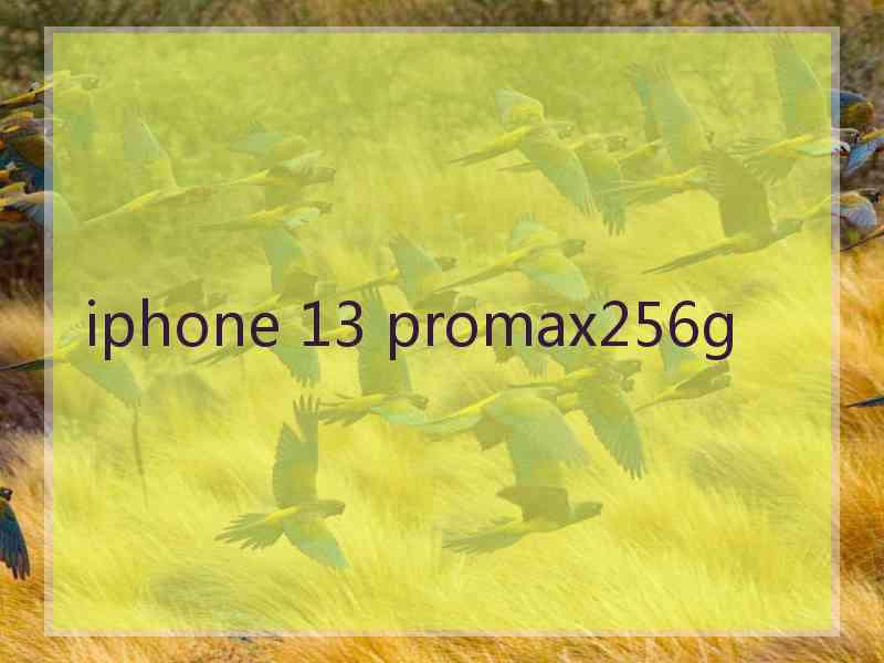 iphone 13 promax256g