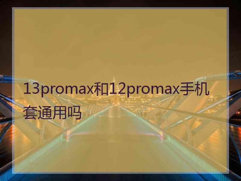 13promax和12promax手机套通用吗