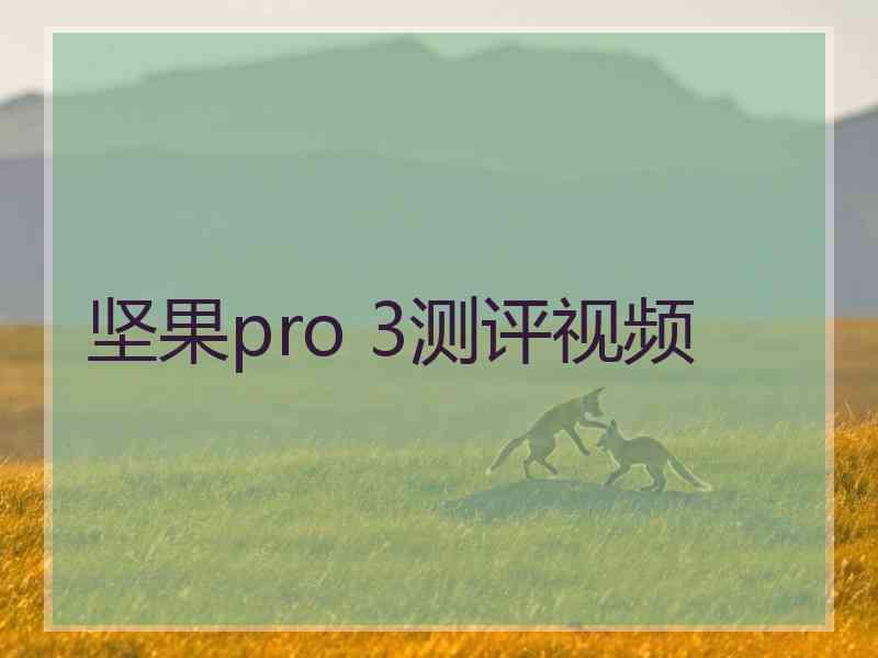 坚果pro 3测评视频