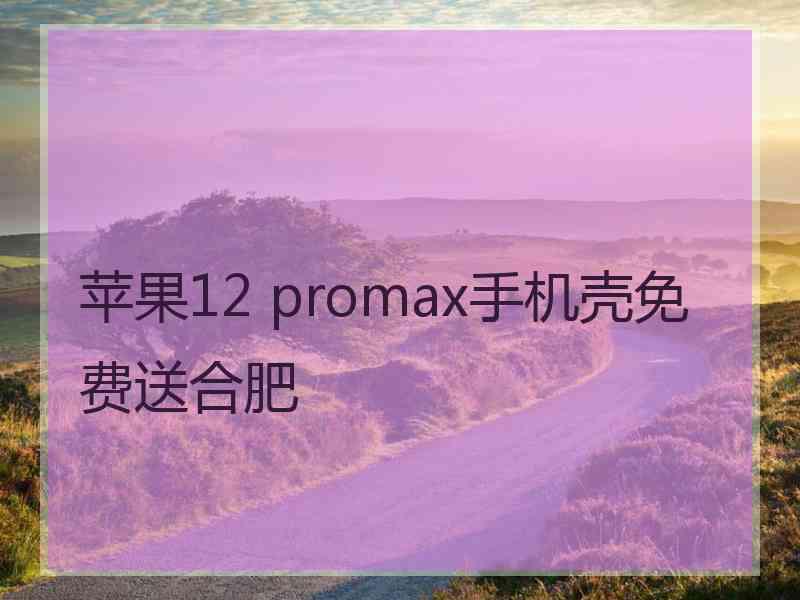 苹果12 promax手机壳免费送合肥