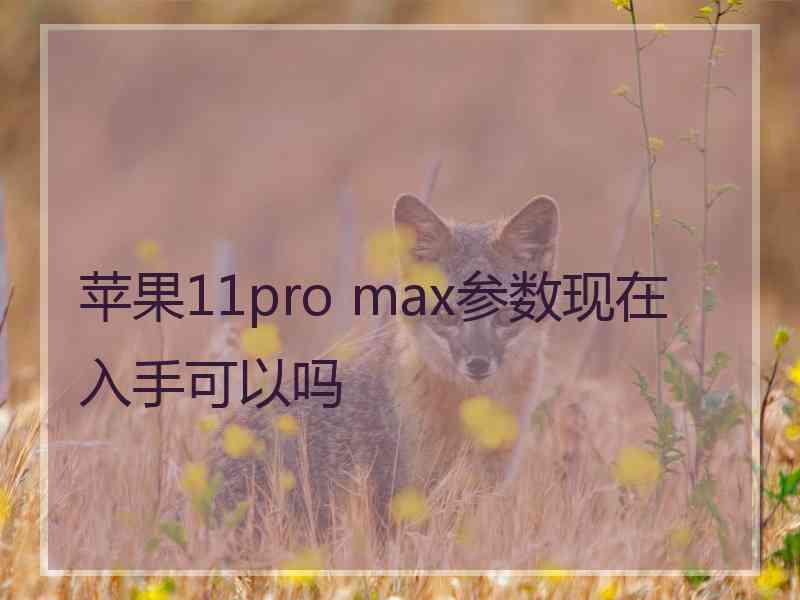 苹果11pro max参数现在入手可以吗