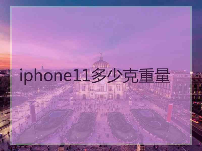 iphone11多少克重量