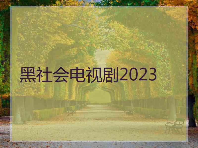 黑社会电视剧2023