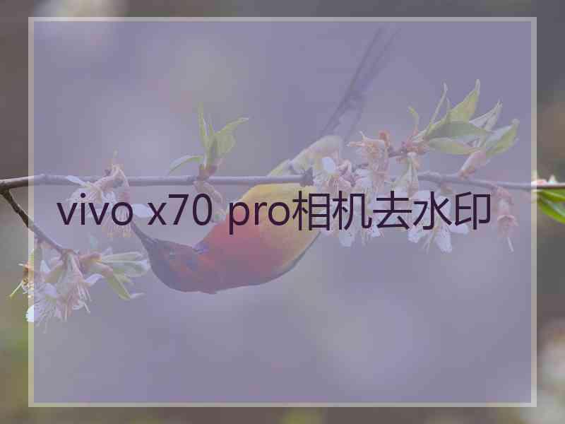 vivo x70 pro相机去水印