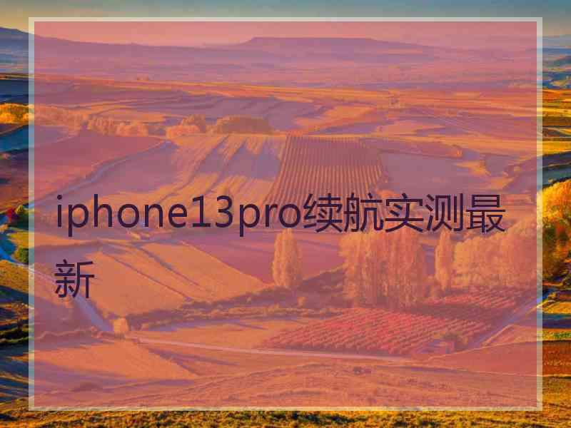 iphone13pro续航实测最新