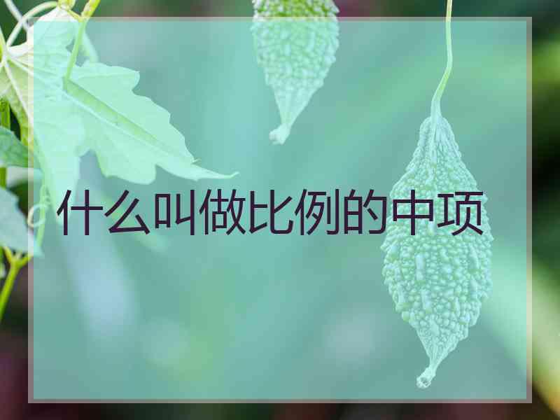 什么叫做比例的中项