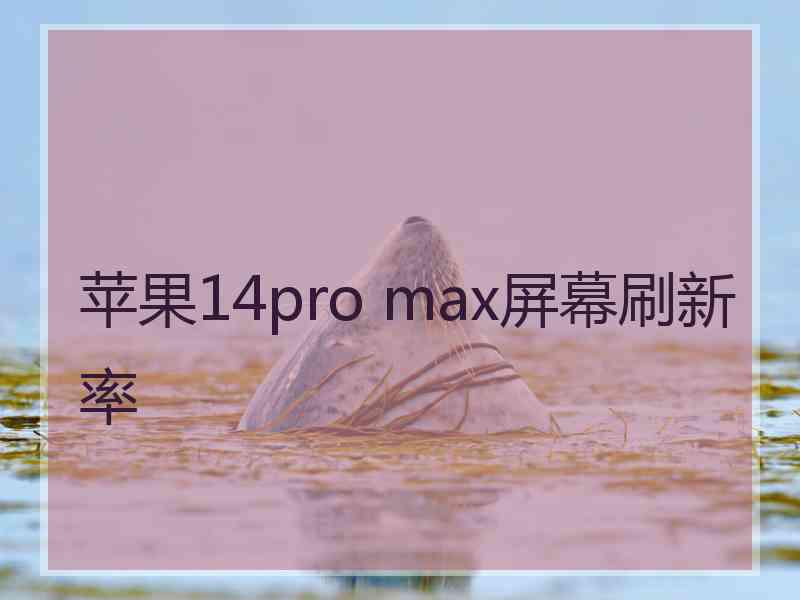 苹果14pro max屏幕刷新率