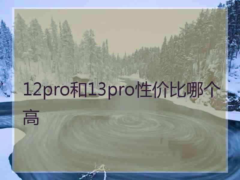 12pro和13pro性价比哪个高