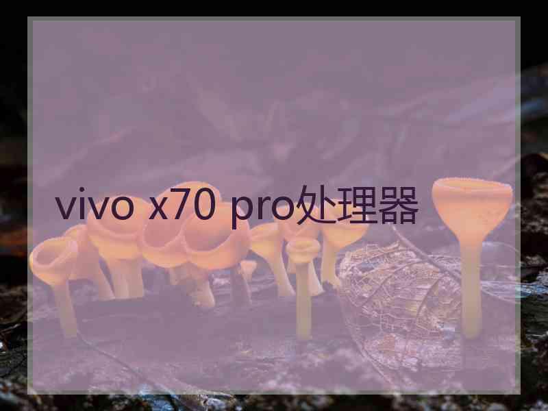vivo x70 pro处理器