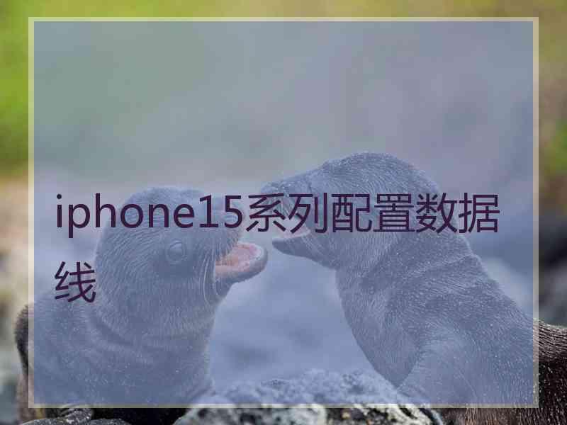 iphone15系列配置数据线