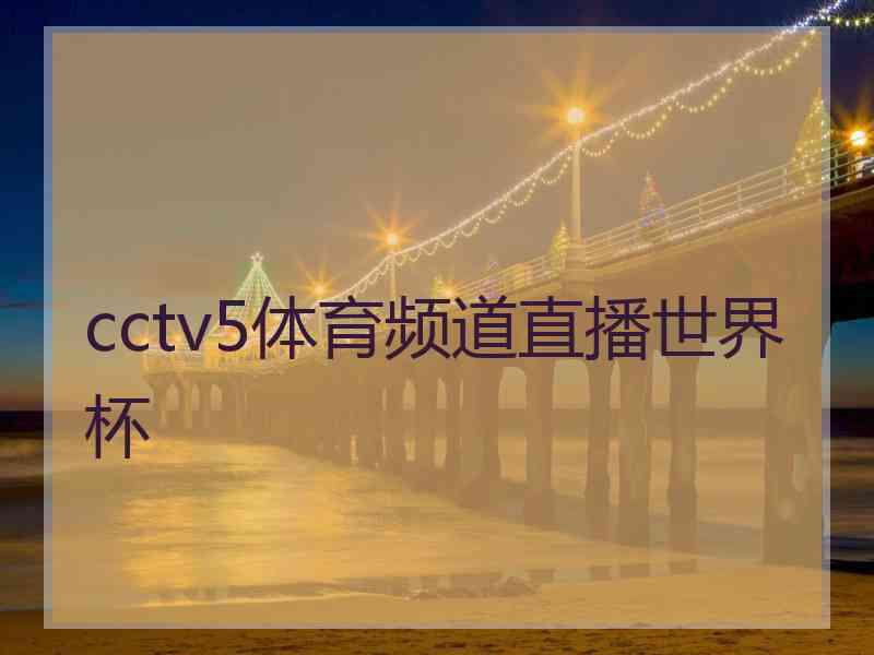 cctv5体育频道直播世界杯