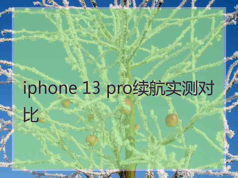 iphone 13 pro续航实测对比