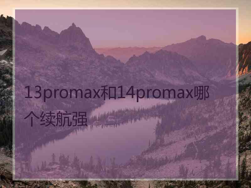 13promax和14promax哪个续航强