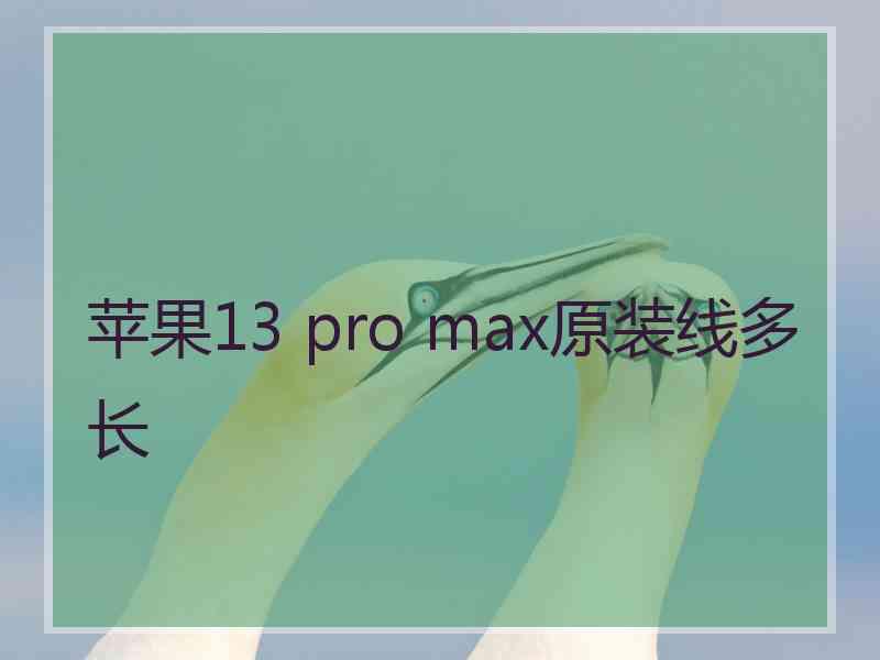 苹果13 pro max原装线多长