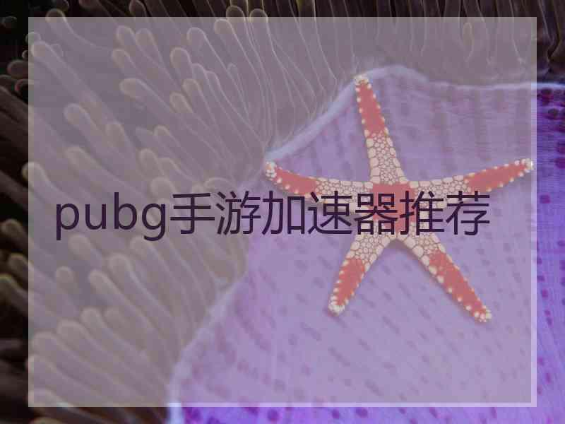 pubg手游加速器推荐